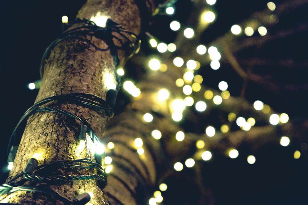 How to decorate outdoor trees with lights