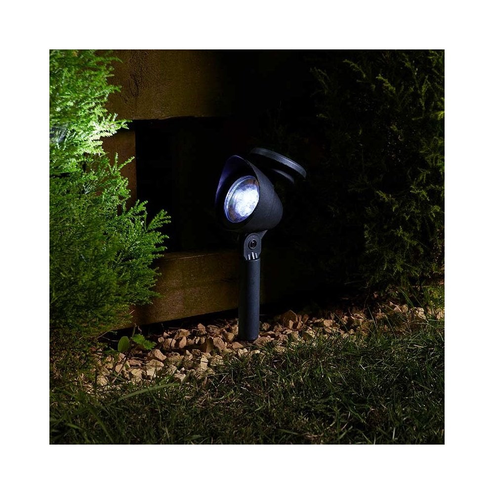 Outdoor solar spike light in garden bed.