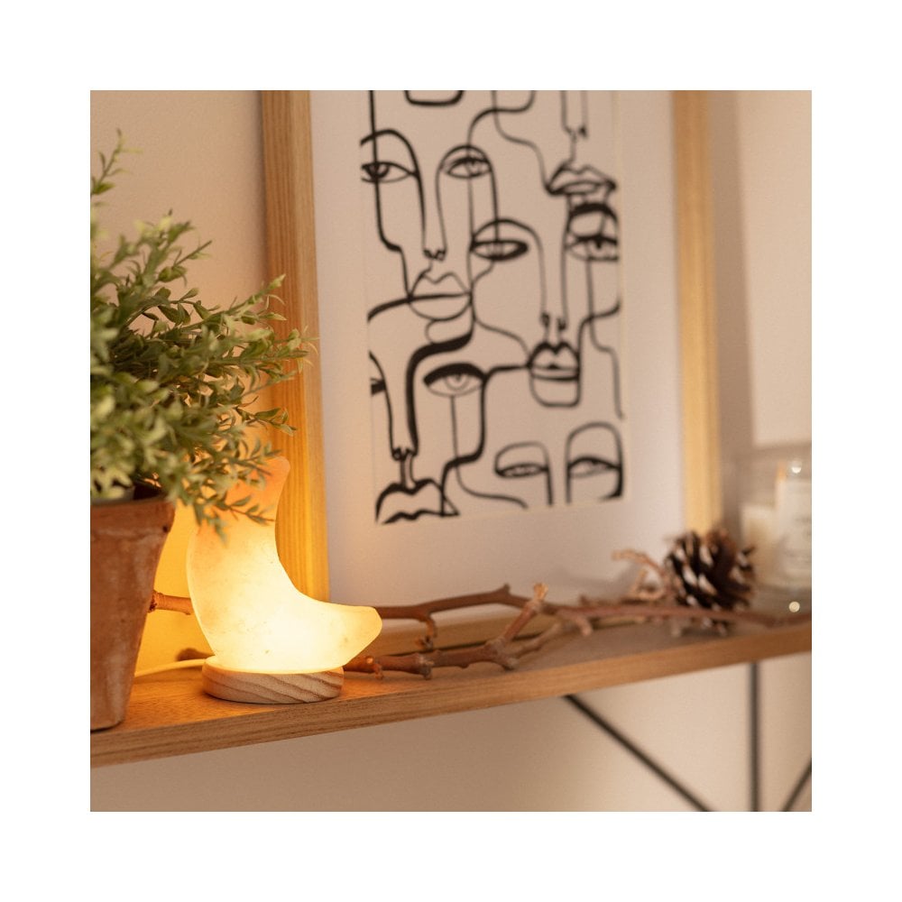 Edit Lighting Mineral Salt Moon Integrated LED Table Lamp in Pink Finish with USB Connection and Wood Detail